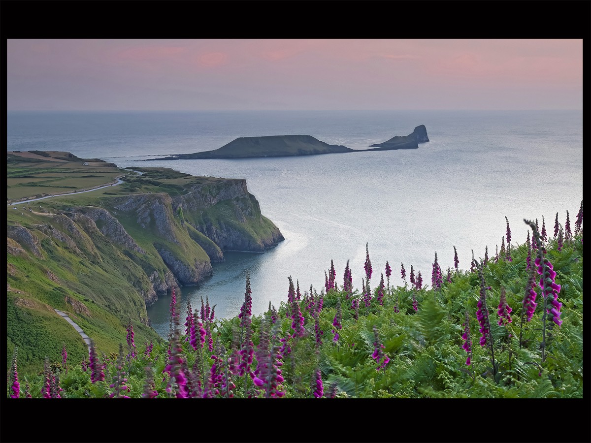 Worms Head