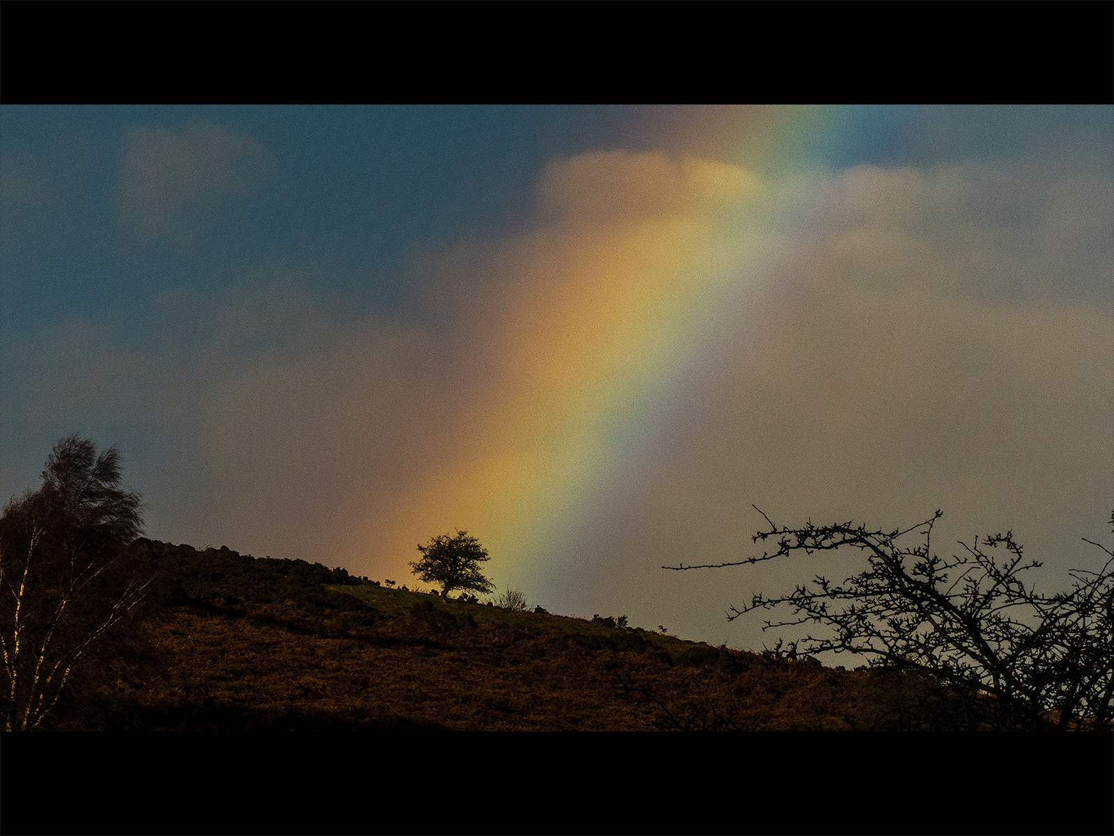 Pot of Gold