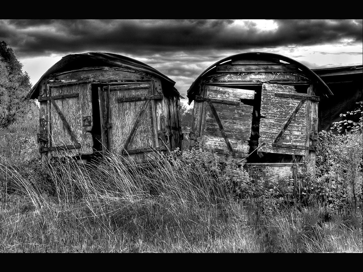 Steve West - Ramshackle Sheds