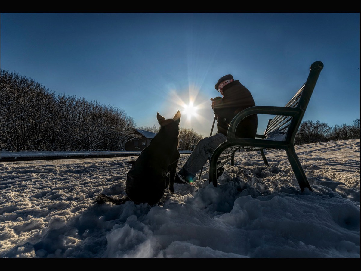 Steve West - Winter Walkies