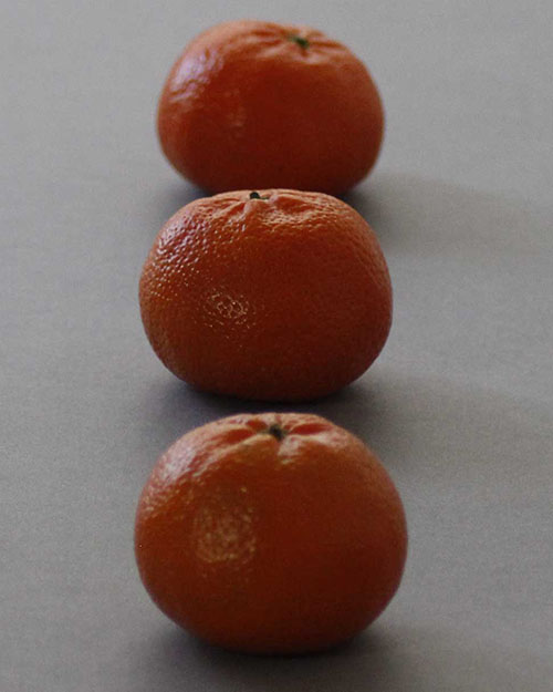 Satsumas2