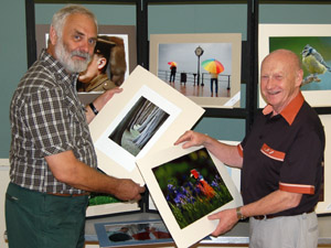 dpd_2011_selection