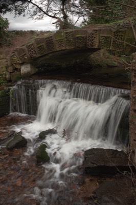 Stacks Image 2801