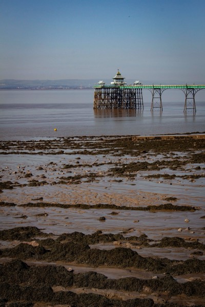 Stacks Image 2374