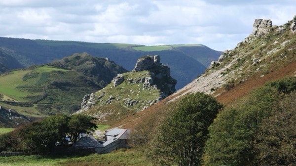 Stacks Image 2371