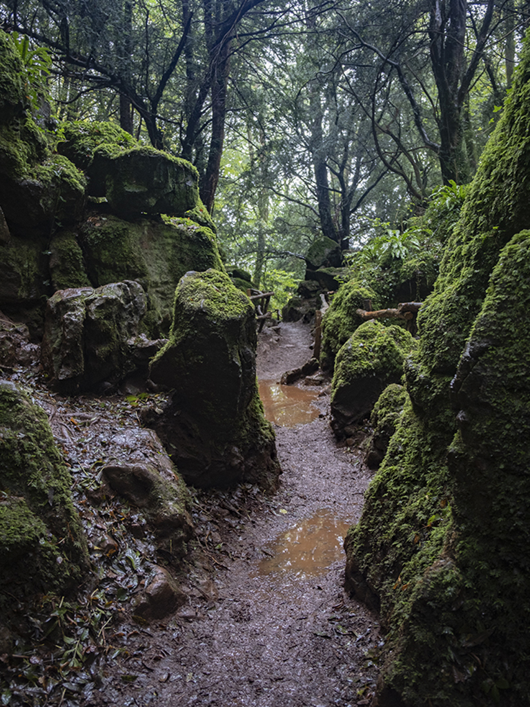 Stacks Image 1769
